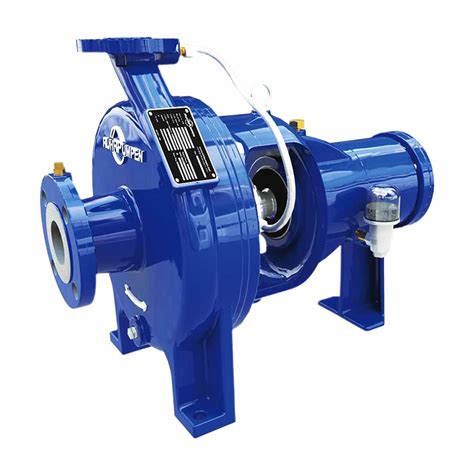 good end suction horizontal centrifugal pump|goulds end suction centrifugal pump.